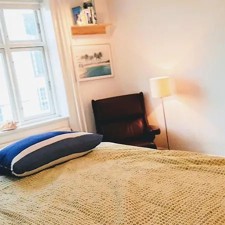 Lejlighed Central Full Equipped And Bright Apt. København